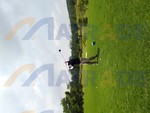 20181117_MATRADE Golf Challenge 2018