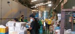 Factory Visit to Dong Sin Sdn Bhd